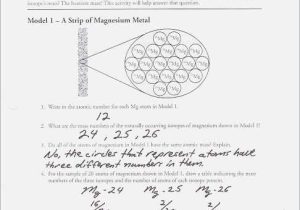 Macromolecules Worksheet Answer Key and Calculating Average atomic Mass Worksheet Answers – Webmart