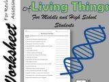 Macromolecules Worksheet Answer Key and Macromolecules Of Living Things Worksheet for Middle and High School
