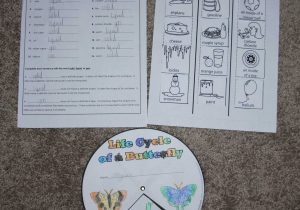 Magnets and Magnetism Worksheet Answers or A Learning Journey tos Review Super Teacher Worksheets