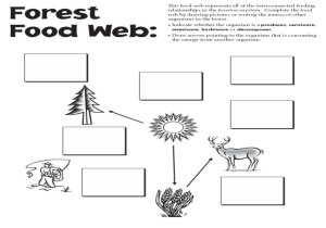 Main Idea and Details Worksheets Along with Food Chain and Food Web Worksheet Worksheets Tutsstar Thou