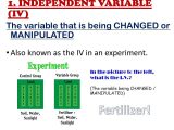 Manipulated and Responding Variables Worksheet Answers Also Scientific Method and Inquiry Ppt