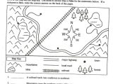 Map Activity Worksheets and 10 Best History Lessons Images On Pinterest