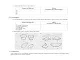 Measuring Terms Worksheet together with Dorable Measurement Worksheets for Grade 1 Motif Worksheet