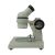 Measuring with A Microscope Worksheet Along with 40x Mini Microscope Up Right Image Monocular Stereo Microscope F