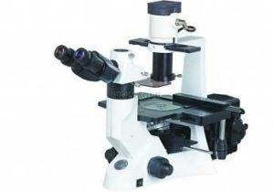 Measuring with A Microscope Worksheet Also 26 Best Upright Epi Fluor Microscopes Images On Pinterest