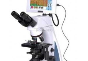 Measuring with A Microscope Worksheet as Well as 26 Best Upright Epi Fluor Microscopes Images On Pinterest