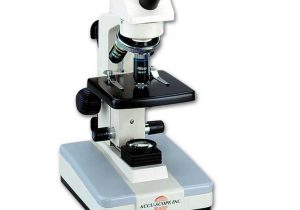 Measuring with A Microscope Worksheet as Well as 30 Best Microscopes Images On Pinterest
