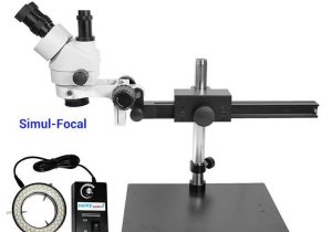 Measuring with A Microscope Worksheet or 30 Best Microscopes Images On Pinterest