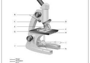 Measuring with A Microscope Worksheet with 122 Besten Free Printable Worksheets Bilder Auf Pinterest