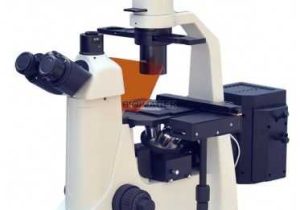 Measuring with A Microscope Worksheet with 26 Best Upright Epi Fluor Microscopes Images On Pinterest