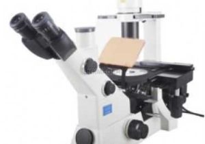 Measuring with A Microscope Worksheet with 26 Best Upright Epi Fluor Microscopes Images On Pinterest