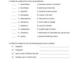 Medical Terminology Abbreviations Worksheet Along with 19 Best Medical Terminology Images On Pinterest