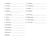 Medical Terminology Prefixes Worksheet Along with Medical Terminology Worksheets & Medical Terminology Quiz Endocrine
