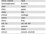 Medical Terminology Prefixes Worksheet and 132 Best Medical Terminology Images On Pinterest