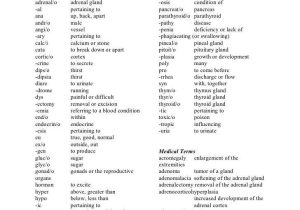 Medical Terminology Prefixes Worksheet and Medical Terminology Worksheet