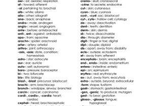 Medical Terminology Prefixes Worksheet with 7 Best Abbreviations Images On Pinterest