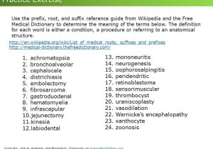 Medical Terminology Suffixes Worksheet and tolle Anatomy and Physiology Suffixes and Prefixes Zeitgenössisch
