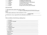 Medical Terminology Suffixes Worksheet or 19 Best Medical Terminology Images On Pinterest