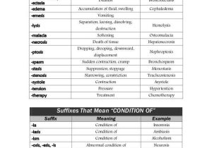 Medical Terminology Suffixes Worksheet or Medical Terminology Worksheet