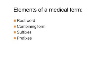 Medical Terminology Suffixes Worksheet or tolle Anatomy and Physiology Suffixes and Prefixes Zeitgenössisch