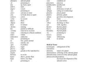 Medical Terminology Suffixes Worksheet or Ziemlich Anatomy and Physiology Prefixes Zeitgenössisch