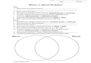 Meiosis 1 and Meiosis 2 Worksheet Answer Key as Well as 23 Best Graph Meiosis Worksheet Answer Key Biolog