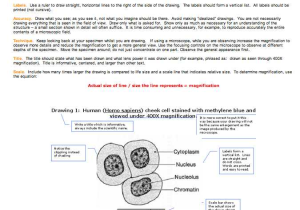 Membrane Structure and Function Worksheet and topic 1 2 Ultra Structure Of Cells Amazing World Of
