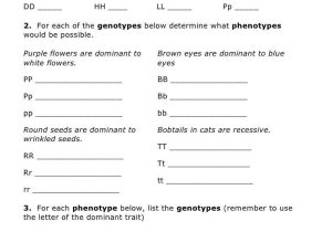 Mendelian Genetics Worksheet Answer Key and Worksheets 45 Lovely Punnett Square Worksheet Full Hd Wallpaper