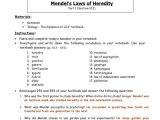 Mendelian Genetics Worksheet Answer Key with Free Worksheets Mendelian Genetics Worksheet Answers Free Math