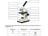 Microscope Parts and Use Worksheet Along with Microscope Mania Quiz Name… Anatomy & Physiology