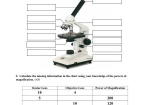 Microscope Parts and Use Worksheet Along with Microscope Mania Quiz Name… Anatomy & Physiology