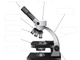 Microscope Parts and Use Worksheet Along with Parts Of A Microscope Free Printable