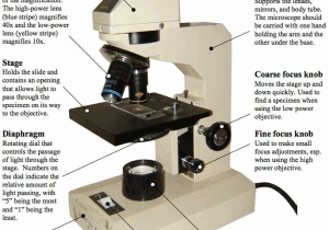 Microscope Parts and Use Worksheet Also Parts Of A Microscope and their Functions