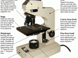 Microscope Parts and Use Worksheet Answer Key Also Parts Of A Microscope and their Functions