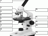 Microscope Parts and Use Worksheet Answer Key as Well as Life Science Teacher S Edition Te