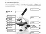 Microscope Parts and Use Worksheet Answers Also Lab Skills 5 Using A Pound Light Microscope Answers