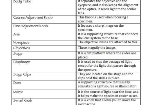 Microscope Parts and Use Worksheet Answers Also Microscope Parts and Functions Worksheet the Best Worksheets Image