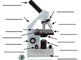 Microscope Parts and Use Worksheet Answers and 16 Best Parts Of the Microscope Images On Pinterest