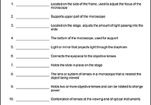 Microscope Parts and Use Worksheet Answers with Parts Of the Microscope Printables Word Searches and More