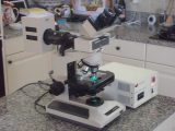 Microscope Slide Observation Worksheet Along with Olympus Bh2 Fluorescence Microscope Plete Ebay