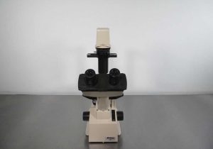 Microscope Slide Observation Worksheet and Nikon Tms Inverted Microscope with Warranty Microscopes