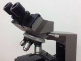 Microscope Slide Observation Worksheet and Olympus Bh Microscope In Excellent Condition Wfive Object
