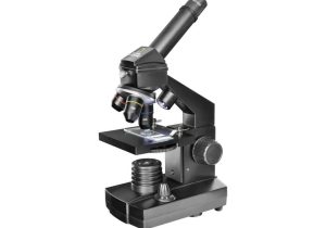 Microscope Slide Observation Worksheet or Mikroskopy Na Predaj Aqtsk