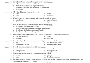 Milliken Publishing Company Worksheet Answers with Holt Biology Chapter 2 Test Answers