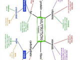 Mind Map Worksheet as Well as Nutrition Nutrients Mind Map and Exercises Worksheet Free Esl
