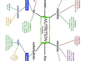 Mind Map Worksheet as Well as Nutrition Nutrients Mind Map and Exercises Worksheet Free Esl
