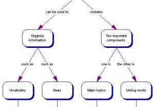 Mind Map Worksheet or 13 Best Graphic organizers Images On Pinterest