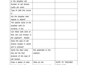 Mitosis Worksheet Answers Along with Diagram Mitosis Worksheet Answers Wallpapers 47 New Mitosis