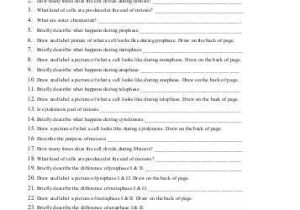 Mitosis Worksheet Answers Also Fresh Sales Resume New 156 Best Resume Job Pinterest Ideas