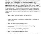 Mitosis Worksheet Answers and Cells Alive Mitosis Worksheet Wallpapers 47 New Mitosis Worksheet